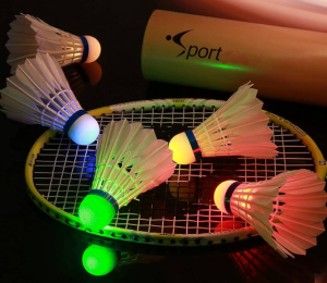 volants badminton