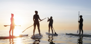 paddle